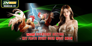 AAGAME Cockfight Betting – Key Facts Every User Must Know