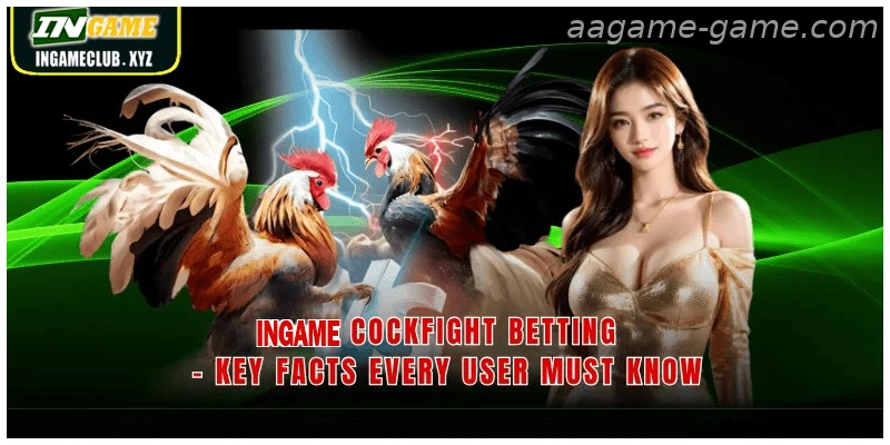 AAGAME Cockfight Betting – Key Facts Every User Must Know
