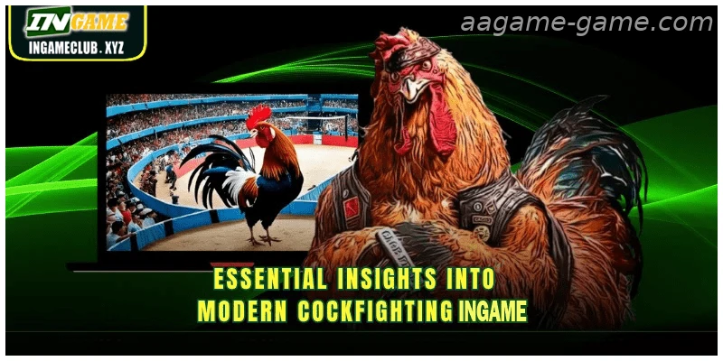 Live Sabong betting at AAGAME