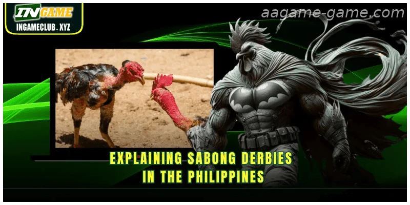 Explaining Sabong Derbies in the India