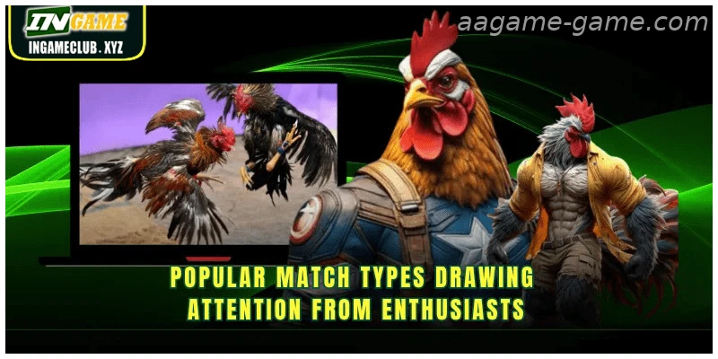 Popular Sabong match types at AAGAME