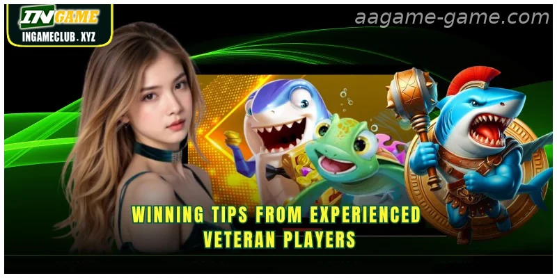 Winning tips from experienced veteran players
